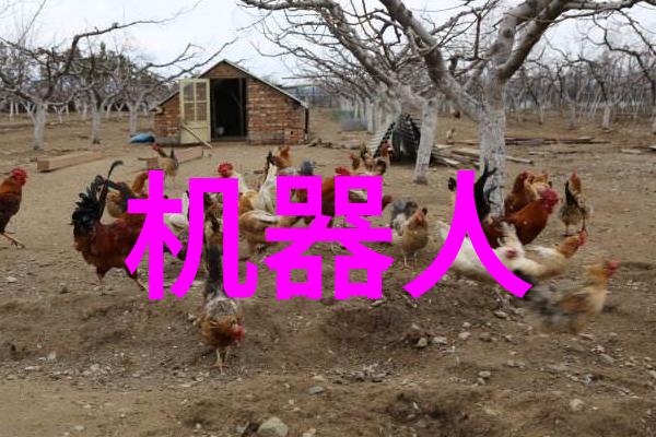 电视剧我是TVB当家花旦的粉丝你们呢