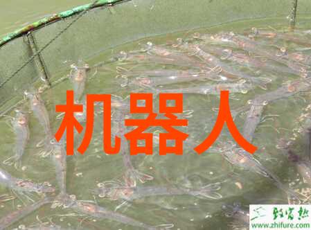 探秘仙剑世界网上寻找古典仙侠小说的乐趣与挑战