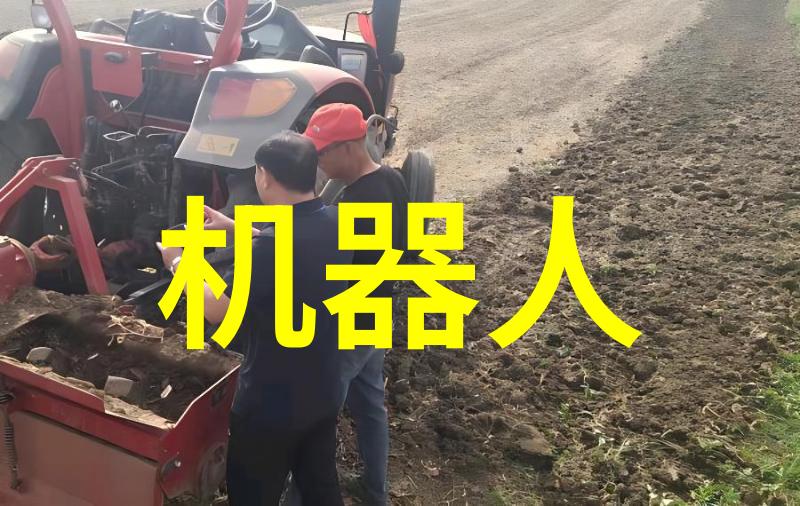 从业报告-规范化编写确保工作成果的清晰传达