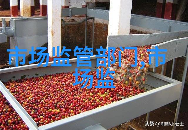 编制高效投资计划书与深入可行性研究报告的关键要素探究