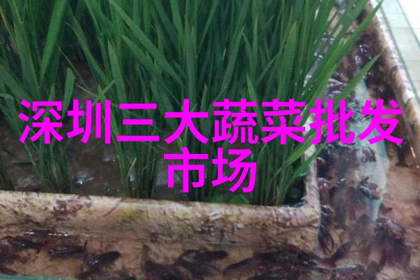 兰州财经大学我在兰州财经大学的日子钱学与梦想的交响曲