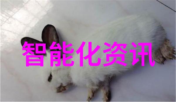 不锈钢板市场价格动态成本需求与行业趋势的综合分析