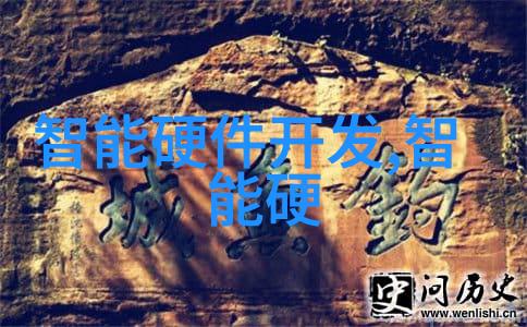 消费者行为学理解消费者的购买决策过程