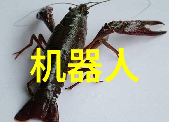 河南省最美的校园探索漯河职业技术学院的教育奇迹