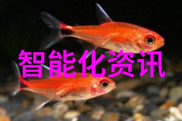 净化水的高手医用纯化水设备的奇妙征程
