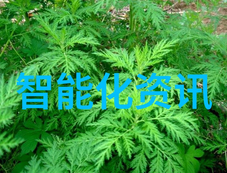 我是机械工人我的日常粉碎机设备的奇妙世界