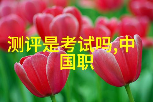 职场定位之旅人才评估测试的重要性与作用