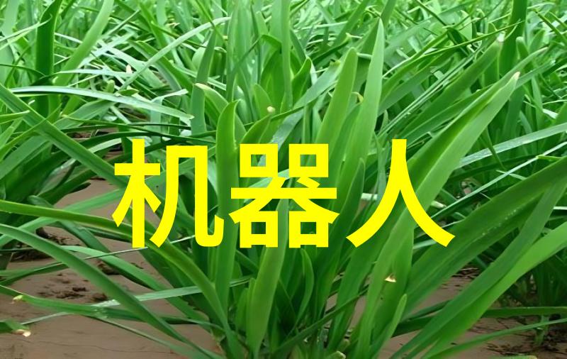 高纯度氧气生产系统在化工制药中的应用有哪些优势