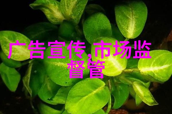 智能输送动态你的物流助手来了
