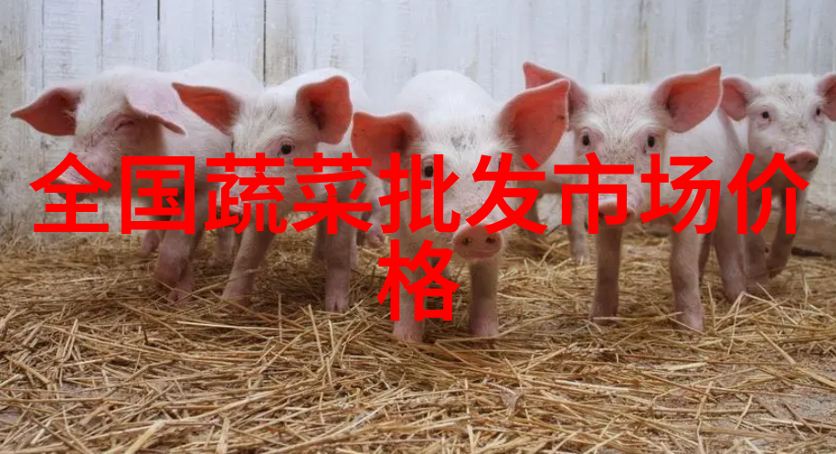 微小奇迹探索生物芯片技术的前景与挑战