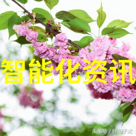 大气压-揭秘蓝色星球的呼吸大气压力的奇妙世界
