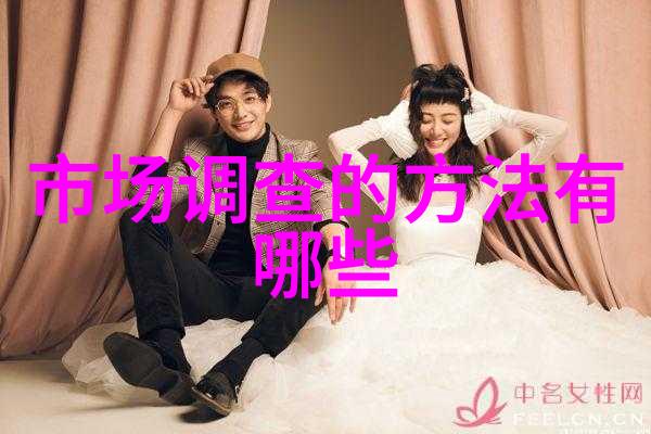 向公众募集资金申请项目报告详细财务预算规划与风险评估分析