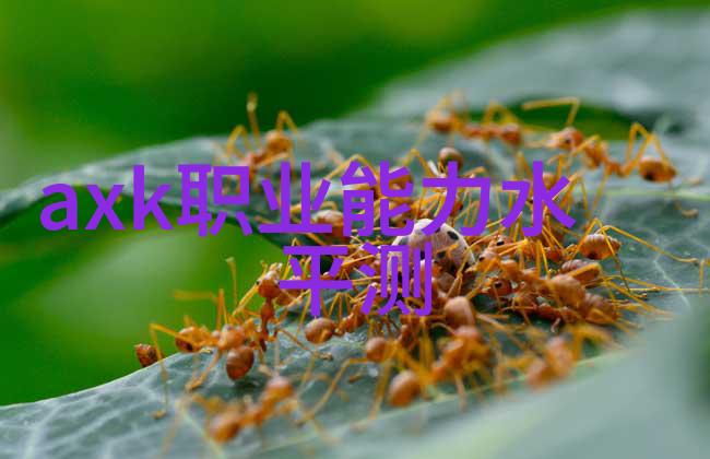 从厨房到权力穿成大佬的御用炉鼎
