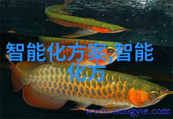 智能输送动态-探索未来物流的无限可能