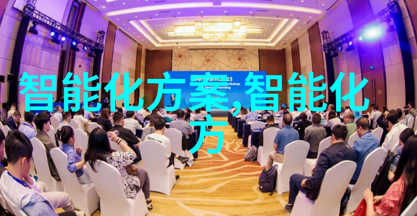 中国射频芯片产业的领航者龙头企业的崛起与发展