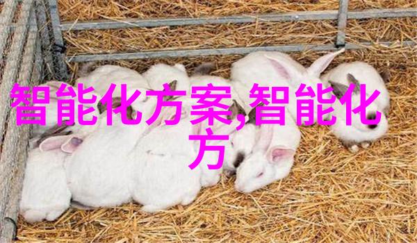 冷库设备维护专业冷库系统保养服务