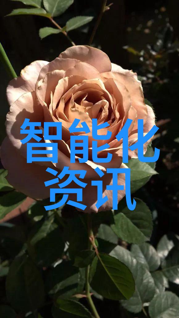 探索孩子爸爸们C幼儿园老师的教育理念与实践