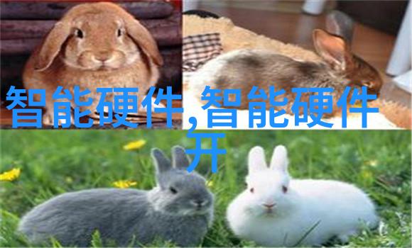 男男车车好快的车车DVD我和兄弟们的疯狂高铁DVD之旅