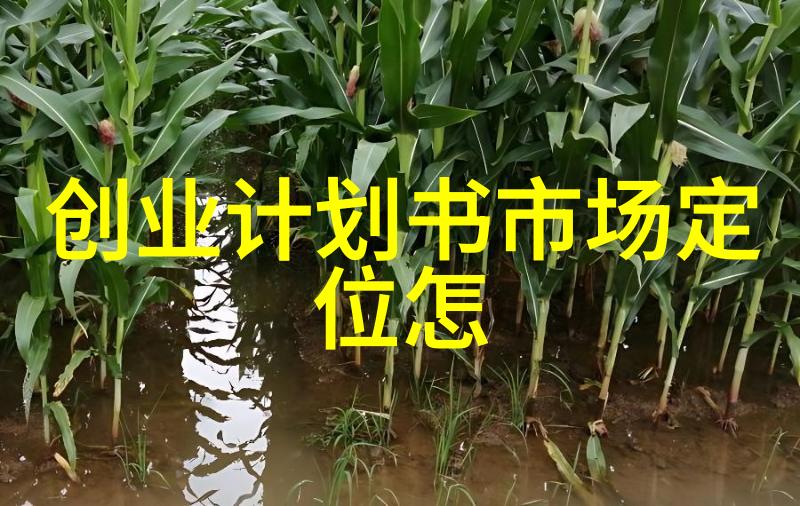 口腔医疗设备-高效杀菌的口腔高压蒸汽灭菌锅安全与卫生的新标准