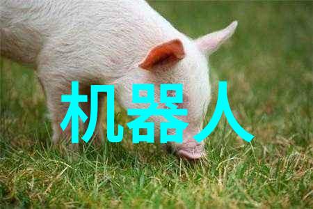中央最新核酸检测规定对于企业经营活动有何影响以及企业应如何调整运营策略来适应这些新规