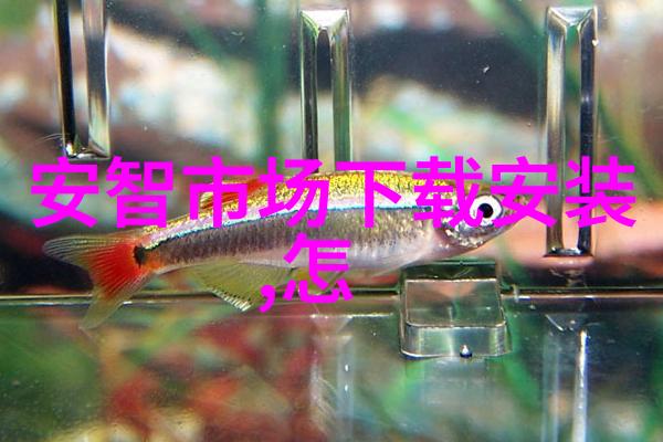 不锈钢陶瓷填料高效耐磨的现代工业材料创新