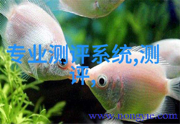 中国智能物流骨干网-构建现代物流体系的智慧网络