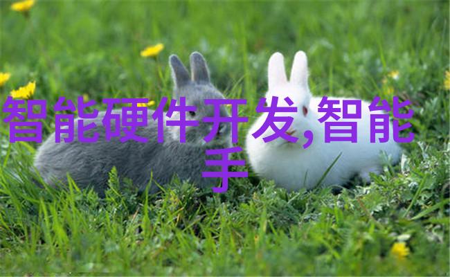 隐秘的加密商用密码测评师证书的双面人生