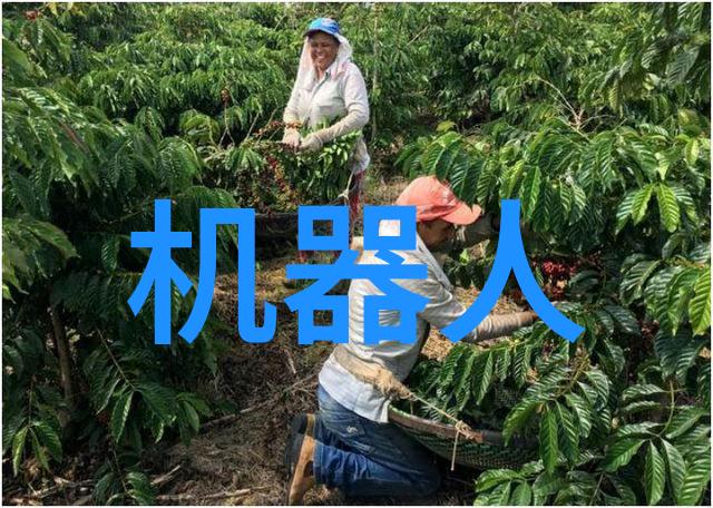 如何通过反渗透净化水设备去除含氯和其他化学物质的污染物