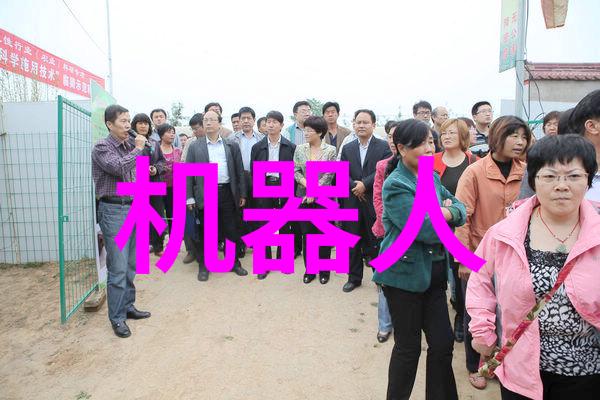 网络新视野探索互联网最新动态