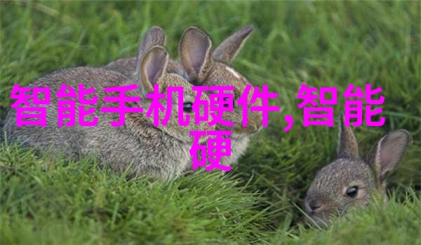 304不锈钢材价格分析与市场预测