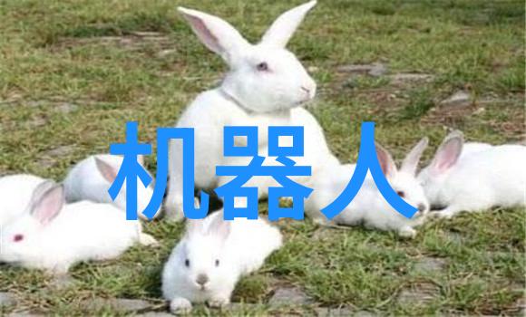 新品发布激发创意的未来科技创新