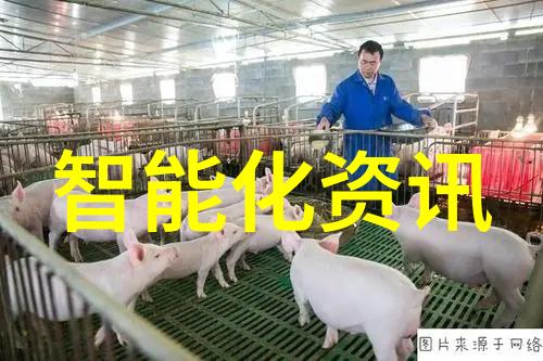 电子废墟重生探索可持续的旧设备回收路线