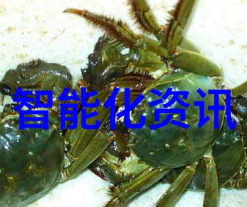 东富龙制药设备专业的药品生产解决方案