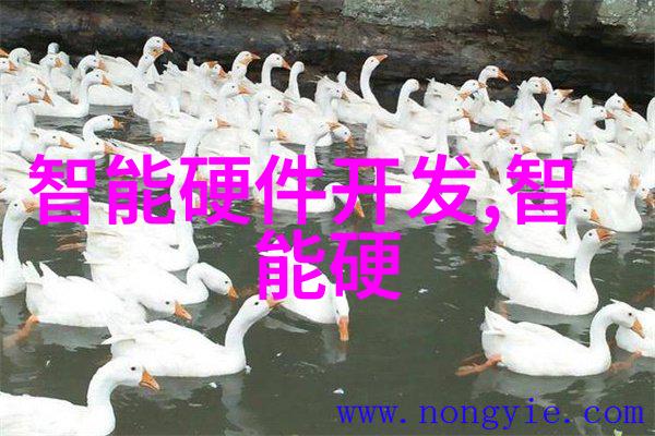 智能健康伙伴探索可穿戴设备的多样化应用