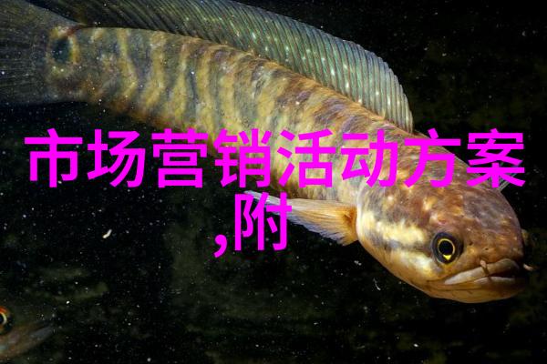 在捷荣技术股吧中一线用户和二线用户有什么区别