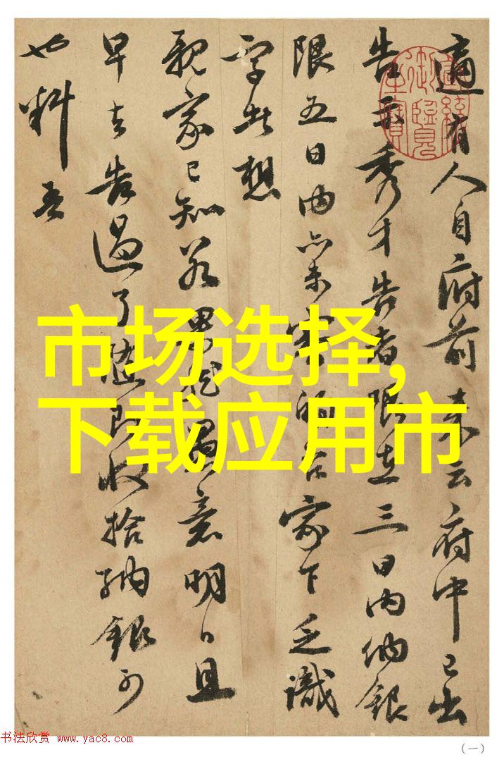 DDS-11A电导率仪精准测量技术概述