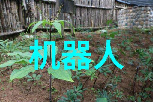 人力资源的精准投放人才胜任力测评方法的探究与实践