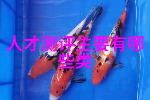 深度探究安卓市场官方版的生态系统与应用分发机制