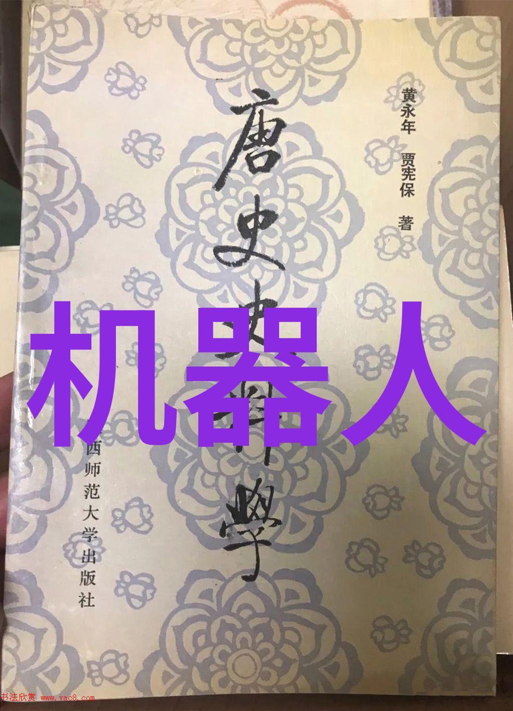 小米旗舰新品发布会科技革新与创新之旅