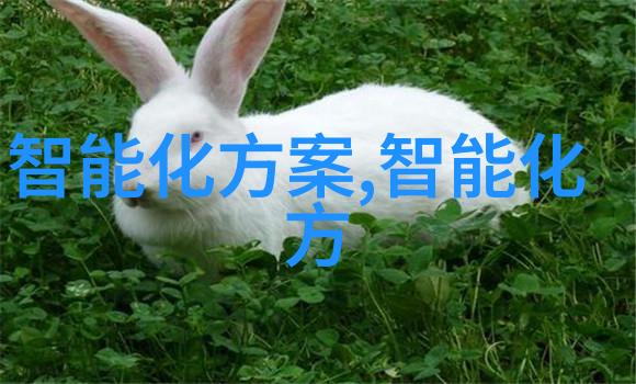 智慧探索北森人才测评网站的创新之旅