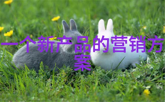 智能评估新篇章智慧之表未来之基