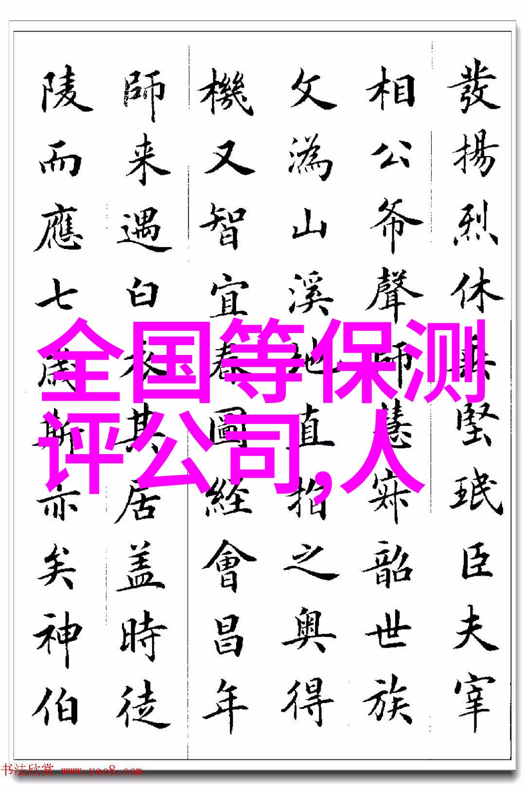 个人上半年工作总结职业成长与挑战回顾