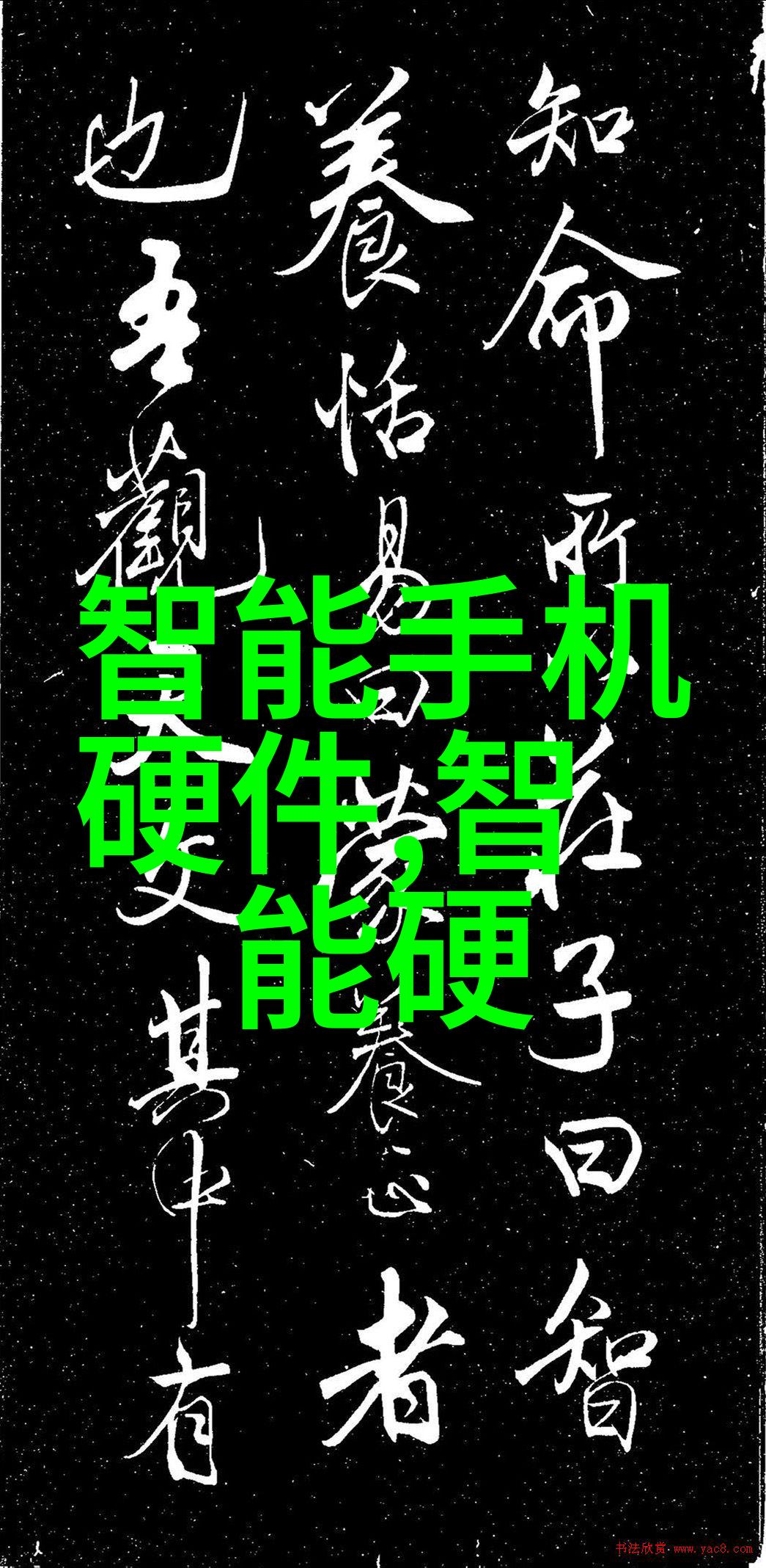 和爸爸融为一体探索亲子关系的深度与广度