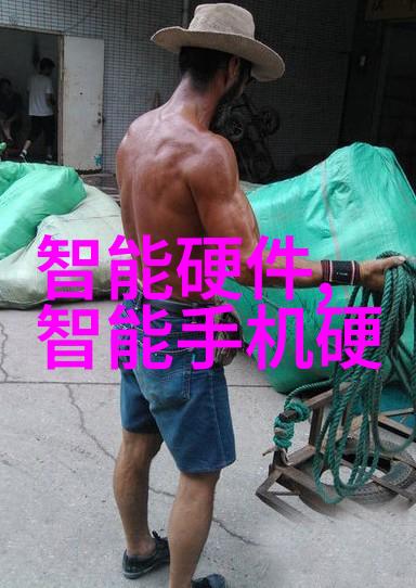 芯片行业龙头揭秘领跑者背后的故事与潜力