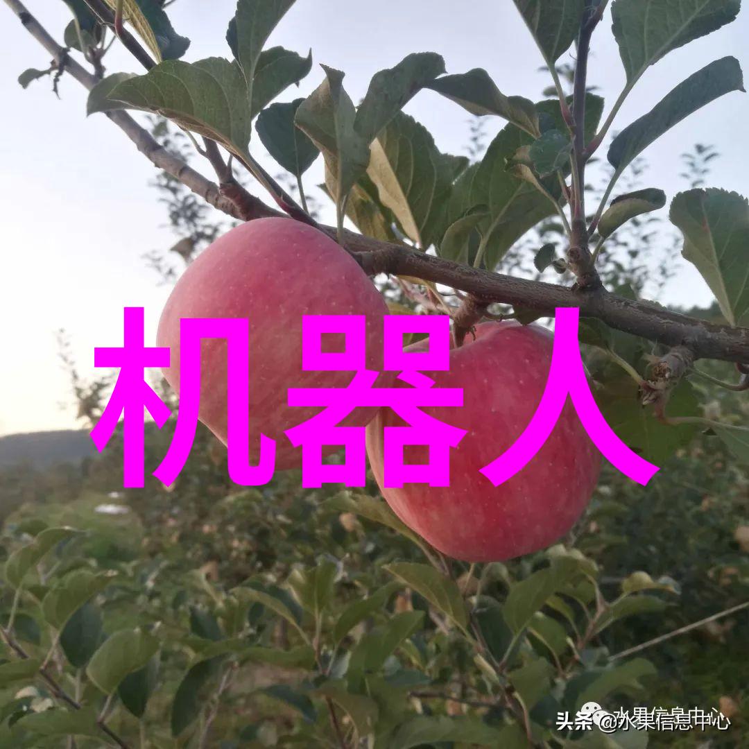主题我来告诉你皮带输送机设备的秘密