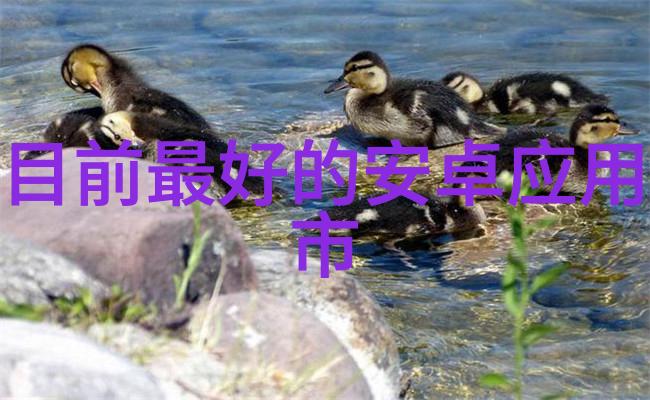 工业级不锈钢容器食品加工行业的最佳选择