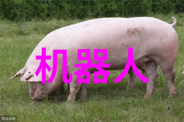 废气冷凝器的应用与优势分析