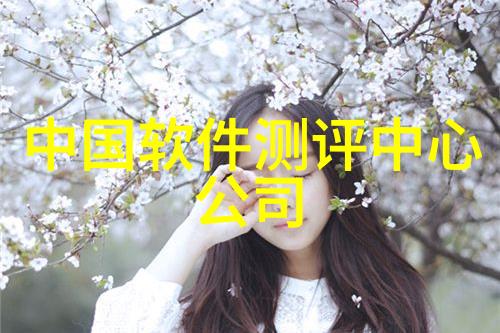 工作报告总结个人成就与挑战的对话