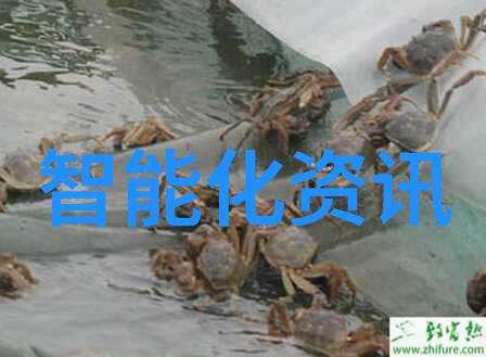化工设备布置图从混乱到有序的奇妙旅程