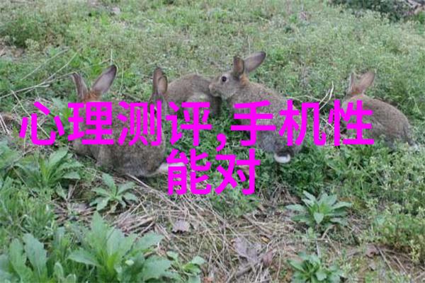 钢筋混凝土结构材料使用规范探索PE管100级国标壁厚标准的奥秘